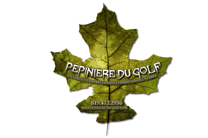 Histoire et Philosophie